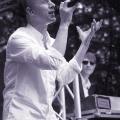 Solar-Fake_16_NCN-2010